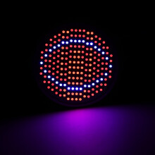 Pflanzen-Wachstumslicht 24W 200-LED E27 Hydrokultur-Blumenkohl-Gemüseanbau-Lampe