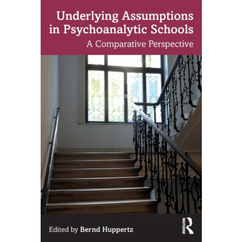 Underlying Assumptions in Psychoanalytic Schools Paperback Book