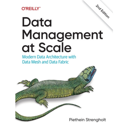 Data Management at Scale by Piethein Strengholt Paperback Book