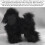 Professional Pet Grooming Training Head Hair-head model 6