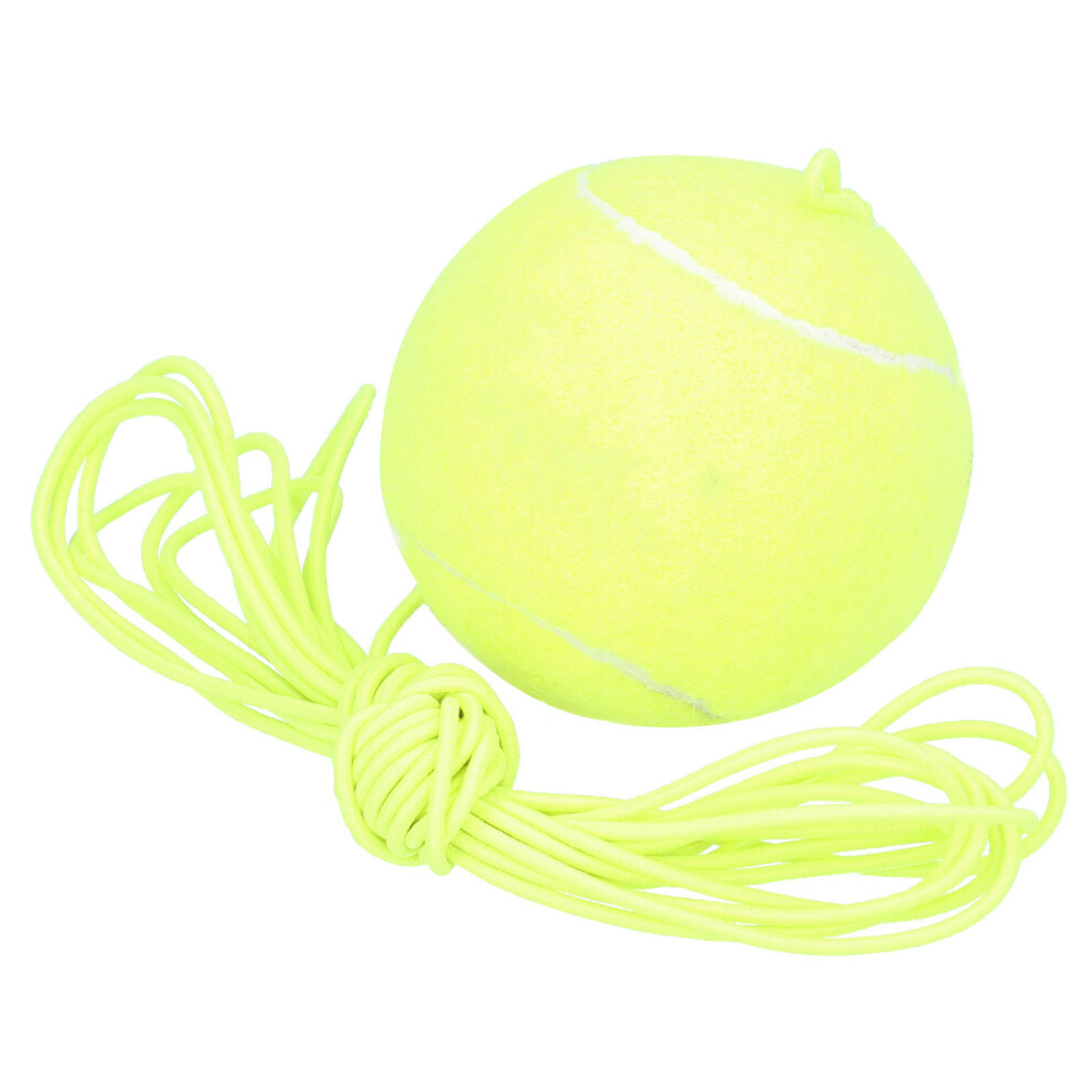 Durable REGAIL Tennis Rebound Ball with Elastic Cord for Self Training-image-OPC-PMTN2CD-NEW