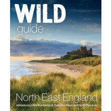 Wild Guide North EastEngland by Sarah Banks Paperback Book