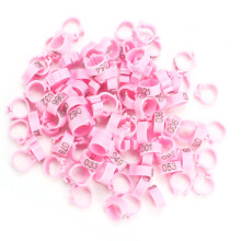 100 Stück 8 mm nummerierte rosa Kunststoff-Vogelbeinringe für Tauben UK