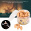 Backflow Incense Cones Waterfall Scented Air Purifier - 2 Boxes 9