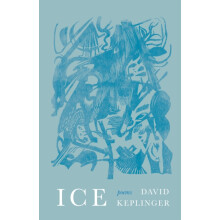 Ice by David Keplinger Paperback Book