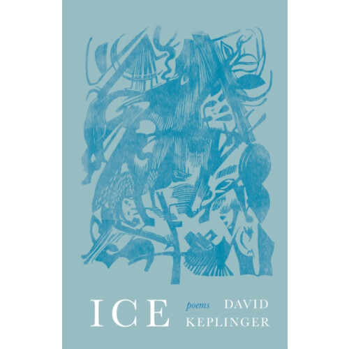 Ice by David Keplinger Paperback Book