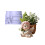 Bricolage petit Pot de fleur faisant ange Silicone moule 1