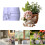 Bricolage petit Pot de fleur faisant ange Silicone moule 2