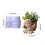 Bricolage petit Pot de fleur faisant ange Silicone moule 3