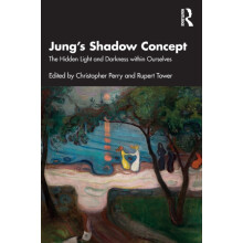 Jungs Shadow Concept Paperback Book