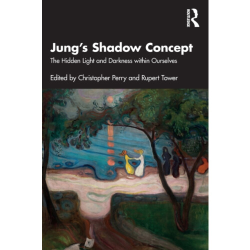 Jungs Shadow Concept Paperback Book