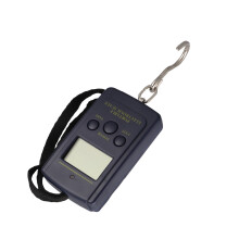 Portable Electronic Scale 50kg-10g Steelyard with Lock & Tare Function