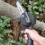 Electric Mini Chainsaw, Battery Powered 7