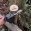 Electric Mini Chainsaw, Battery Powered 9