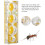Educational Ant Breeding Box with Transparent View for Kids 13