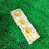 Educational Ant Breeding Box with Transparent View for Kids 3