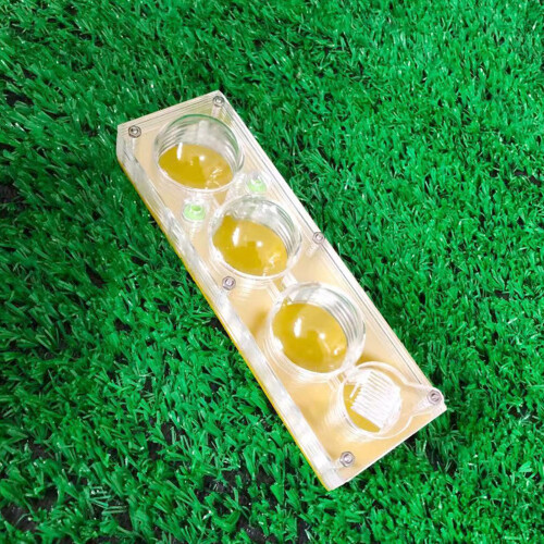 Educational Ant Breeding Box with Transparent View for Kids 2