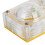 Educational Ant Breeding Box with Transparent View for Kids 10