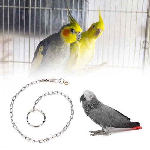 Edelstahl-Parrotsfuß-Halskettchen zum Training, 56cm silber 2