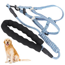 Verstellbares, ausbruchsicheres Hundegeschirr und Leine Set, Blau, Größe S (1,54 kg)