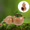 Gourd Shape Ceramic Water Fountain For Fish Tank 6