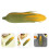 Fake Gemüse Modell Lebensechte Mehrfarbig 8-teilig 11