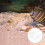 Fish Tank Crab Catch Box, Transparante Container 4