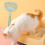 Long Handle Kat Poepzeef Ergonomisch Plastic Draagbaar 5