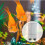 4 Sets Kunststof Aquariumscheiding Visbak Eierrooster Met Klemmen 4