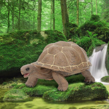 Vivid Animal Model Simulation Elephant Tortoise Solid Toy for Kids
