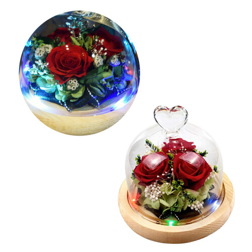 Preserved Rose In Mit Lichtern Für Romantische 1
