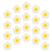 100Stk Künstliche Plumeria Blumen Für Hochzeit Party Strand