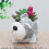 (B) Resin Cartoon Dog Succulent Cactus Planter Pot,d 1