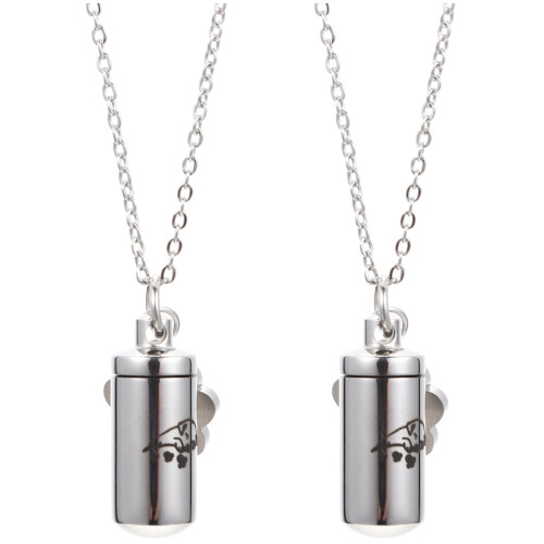 2Stk Pet Ashes Halskette Urne Erinnerungsschmuck Kremation 1