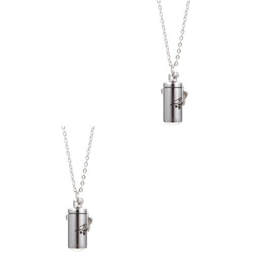 2Stk Pet Ashes Halskette Urne Erinnerungsschmuck Kremation 2