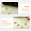 Set Bruiloft Sieraden Met Ketting Ringen En Oorbellen 10