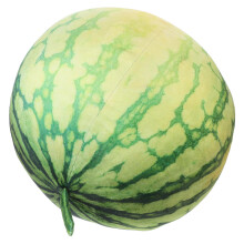 Plüsch Wassermelone Weiches Spielzeug Fruchtform