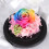 Everlasting Flower Glasabdeckung Rose Geschenk 4