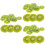 36 kiwifruit scheiben, supermarkt modelle, requisiten 8