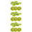 36 kiwifruit scheiben, supermarkt modelle, requisiten 10