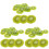 36 kiwifruit scheiben, supermarkt modelle, requisiten 4