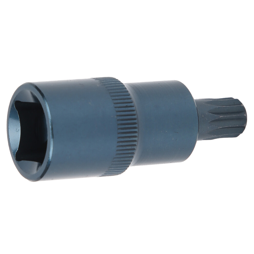 Alloy Steel Blueing 12ÂPoint 1/2" Drive Screwdriver Socket M10 8721359460285