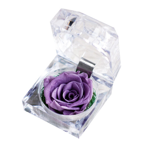 2St In Acrylringbox Mit Weißer Box Und