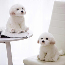 (wolf) Simulation Maltese Dog Plush Toy Dog Cute High Quality Doll Puppet 3d Toy Home Decor Special Birthday Xmas Gift For Kids
