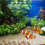 Aquarium Stenen Decoratieve Voor Landschapsarchitectuur 8