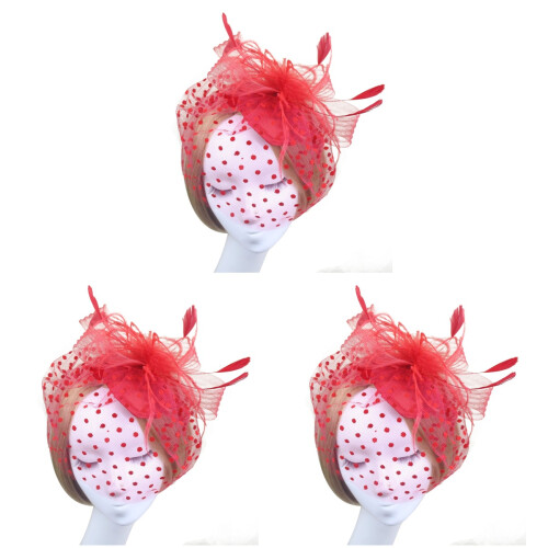 3 Stuks Retro Vogelkooi Mesh Sluierspeld 1