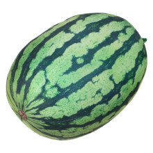 Realistisches Wassermelonen Plüschkissen Für Wohnaccessoires