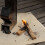 Barbecue Vuurvaste Mat Camping Hittebestendige Pad Picknick 10
