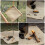 Barbecue Vuurvaste Mat Camping Hittebestendige Pad Picknick 6