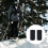 2Pcs Snowboard Bindings Fixing Straps Outdoor Ski Accessories 11
